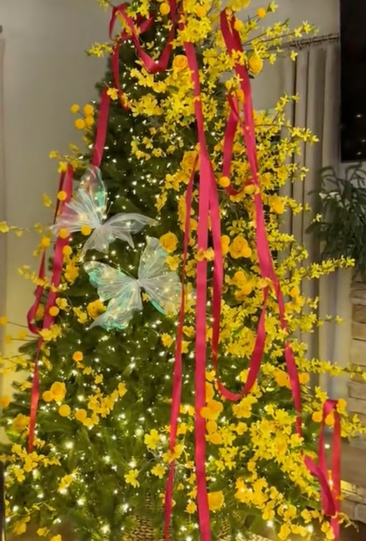 Hài hước trào lưu 'Giáng Xuân' trộn Noel với Tết, dân mạng xem là cười - 6