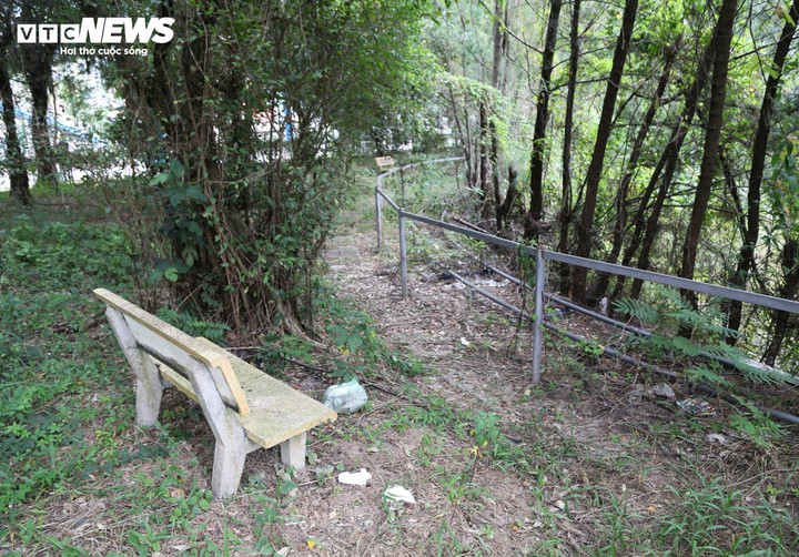 Cỏ dại mọc um tùm và khung cảnh hoang vắng bên trong công viên.