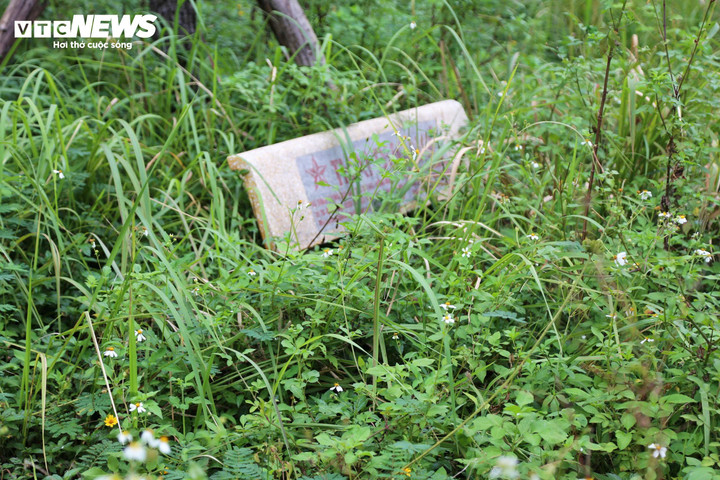 Cỏ dại mọc um tùm và khung cảnh hoang vắng bên trong công viên.