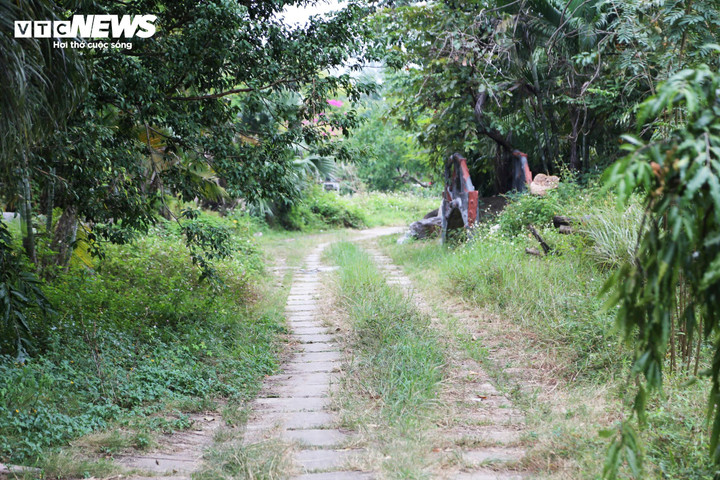 Công viên rơi cảnh bỏ hoang nhiều năm do địa phương không có nguồn kinh phí để thuê người dọn dẹp, cắt tỉa.