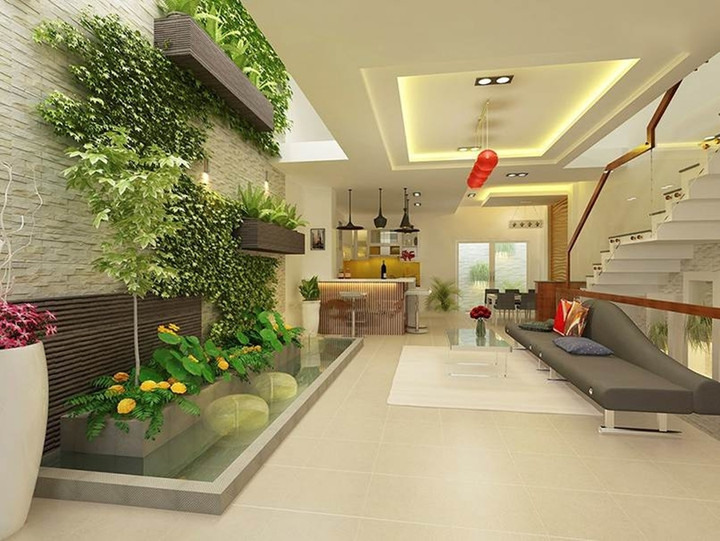 (Ảnh: Hatalandscape)