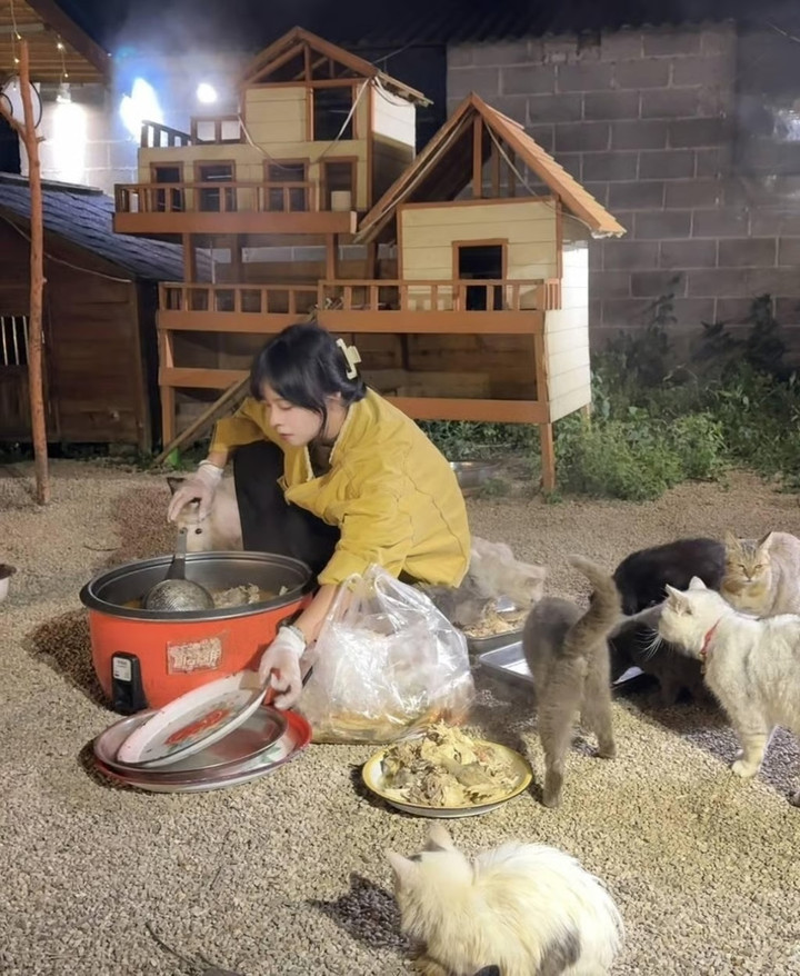 Sau khi về nhà, Xuanxuan hấp lại thức ăn để giảm lượng dầu và muối trước khi cho động vật ăn. (Ảnh: Baidu)