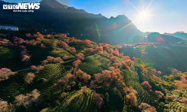 Sa Pa đang ấm lên nhanh hơn dự báo.