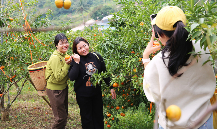 Trädgårdsägare som erbjuder entrébiljetter till turister kan öka sina inkomster och maximera sina fördelar.