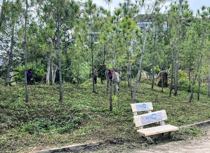 Lãnh đạo UBND phường Vàng Danh cho biết sẽ tiếp tục tăng cường công tác quản lý, duy tu và khai thác hiệu quả Công viên Sinh viên trong thời gian tới.