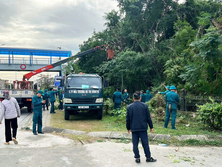 Dân quân địa phương cũng được huy động để phát quang, cắt tỉa cây xanh nhằm lấy lại cảnh quan cho Công viên Sinh viên.