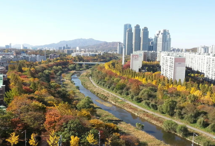 Hình ảnh sông Yangjaecheon ở quận Gangnam, Seoul. (Ảnh: Gangnam-gu)