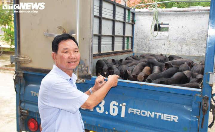 Phong trào nuôi heo đen được chính quyền địa phương Gia Lai "chắp cánh" thông qua chương trình mục tiêu quốc gia về giảm nghèo bền vững.