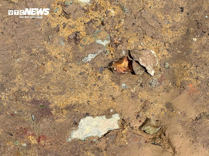 Đá trên mặt đường rất cứng với đủ loại kích cỡ, việc đá lẫn nhiều vào đất thế này rất khó để có thể đằm chặt K95 - K98 như thiết kế