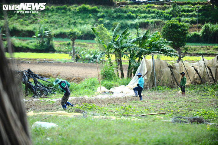 Trên cánh đồng vẫn còn ngổn ngang rác thải và đổ nát, những người đàn ông đang cặm cụi dọn dẹp để bắt đầu mùa vụ mới.