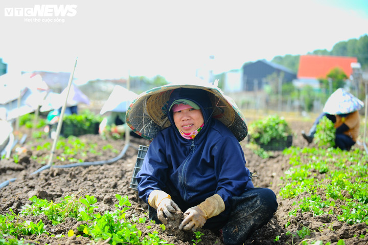 Tại xã Ka Đô (Lâm Đồng), mặc dù nhiều nơi vẫn còn ngổn ngang và bề bộn sau trận lụt lịch sử nhưng bà con vẫn tranh thủ dọn dẹp lại vườn tược, xuống giống rau để bắt đầu vụ mùa mới kịp đón Tết âm lịch.