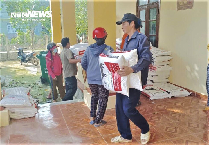 Người dân nhận giống, thuốc, thức ăn cho bò từ dự án liên kết.