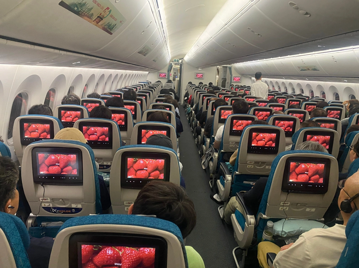 Video quảng bá dâu tây Hàn Quốc được phát đồng loạt trên hệ thống giải trí cá nhân ở khoang Phổ thông. (Ảnh: Vietnam Airlines)