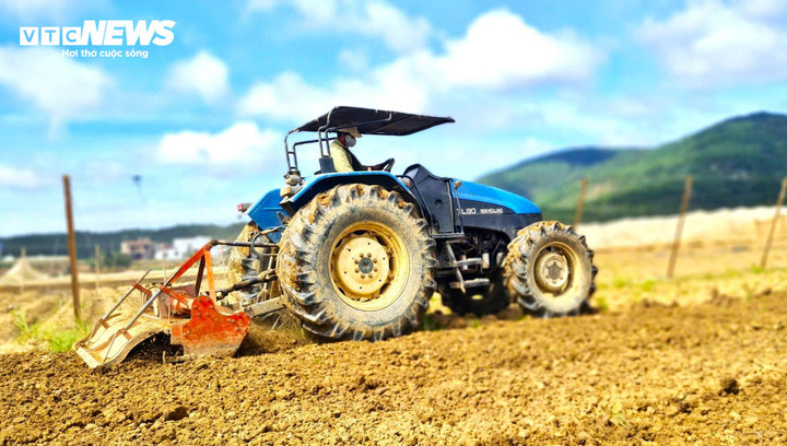 Chiếc máy cày cỡ đại làm việc xuyên suốt từ vườn này sang vườn khác.