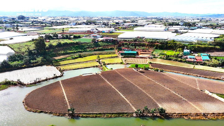 Những khu vườn được dọn dẹp xong ngay ngắn và đẹp mắt.