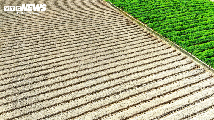 Những khu vườn đầu tiên được dọn dẹp ngay ngắn, sạch đẹp tại Đơn Dương sau đợt lũ lụt lịch sử.