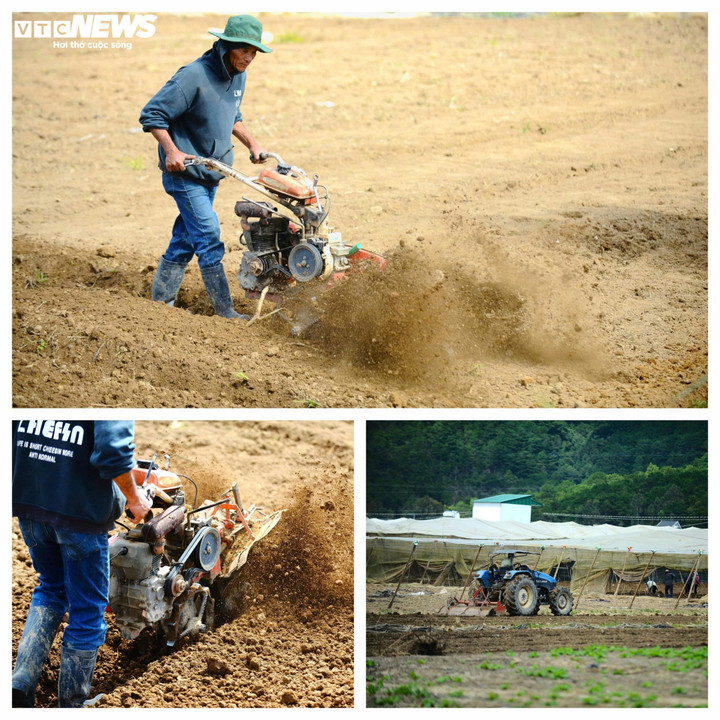 Không khí làm việc khẩn trương.