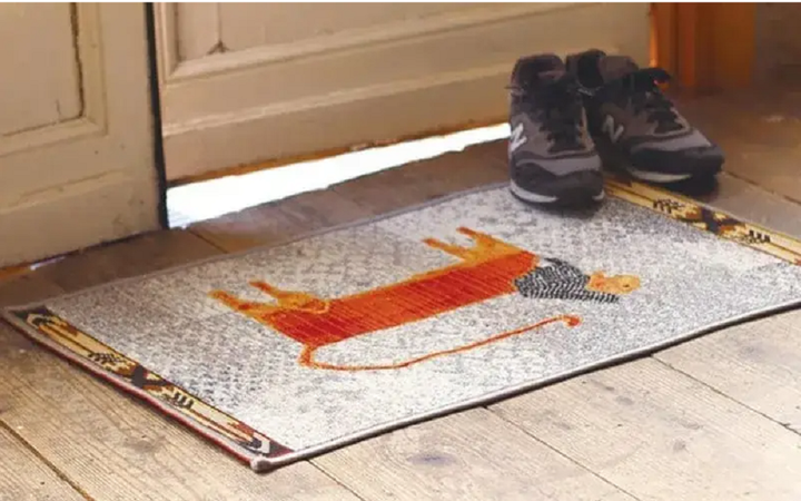 Dùng thảm hoặc đặt tinh dầu thơm ở lối vào để tránh cản trở vận may bước vào nhà