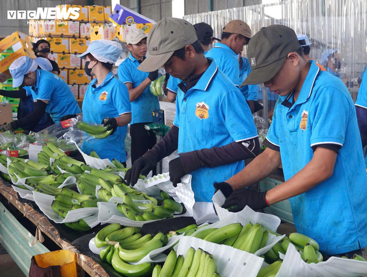 Người lao động mong cái Tết no ấm, sau những thiệt hại nặng về thiên tai. (Ảnh: Nguyễn Gia)