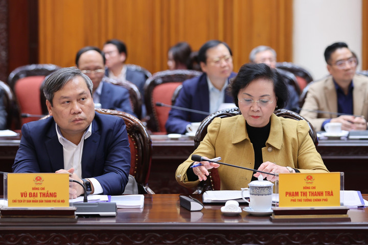 Các đại biểu tham dự cuộc họp.