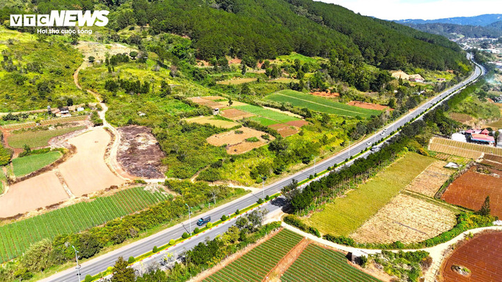 Theo thiết kế, đường cao tốc Liên Khương - đèo Prenn chỉ dành cho ô tô, không có đường giao cắt, cấm xe máy, xe thô sơ... đi vào. Các đoạn giao cắt với khu du lịch, khu dân cứ đều có biển báo hiệu, biển cấm dày đặc. Tuy nhiên, tại các khu vực gần vườn tược của người dân, các đường dân sinh vẫn mở kết nối với đường cao tốc. Từ đây, người dân băng ngang, lướt dọc cao tốc để vào vườn rất nguy hiểm.