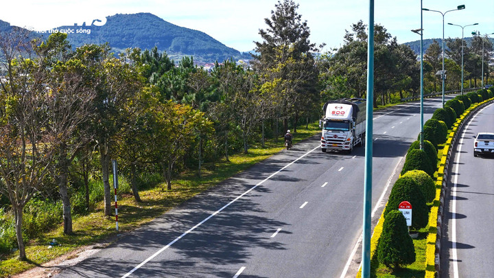 Công ty TNHH Hùng Phát, đơn vị vận hành - quản lý đường cao tốc Liên Khương - Prenn cho biết, các đường nhánh đấu nối trái phép vào đường cao tốc do người dân tự ý làm. Trong đó, người dân phá bỏ một số con lươn, gây mất an toàn cho xe qua lại. Nhiều năm qua, công ty cùng chính quyền địa phương xử lý rào đường nhánh tự mở, xây sửa giải phân cách bị phá bỏ, nhưng chưa thể xử lý dứt điểm do người dân liên tục vi phạm.