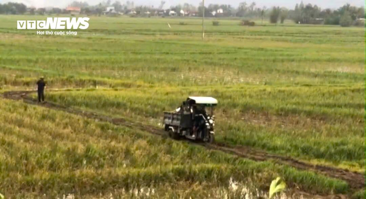 Con đường dẫn vào nhà bà Hoa bùn lầy, khó di chuyển.