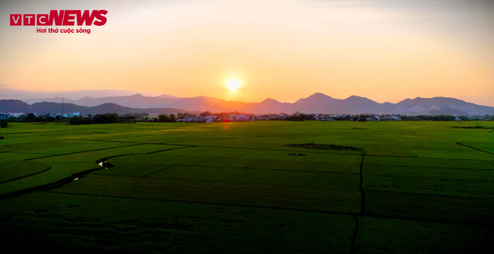 Những cánh đồng ngoại ô, màu xanh đã trở lại.