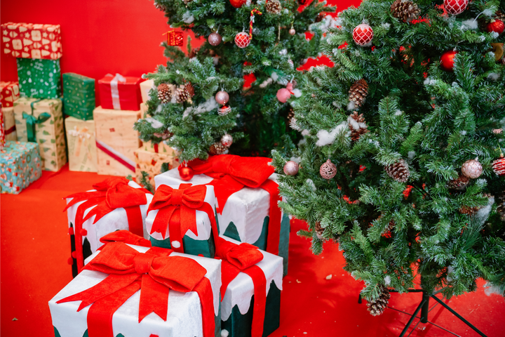 Đặc biệt, FPTU ở tất cả các cơ sở đều luôn mở cửa chào đón học sinh, sinh viên trên cả nước đến tham quan không gian Noel, thoải mái check-in và lưu giữ những khoảnh khắc, hình ảnh đáng nhớ.