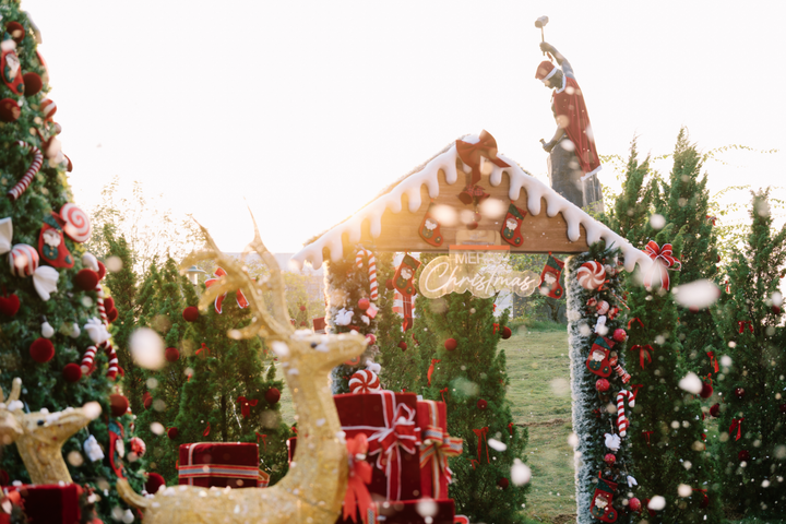 Hệ thống ánh sáng trang trí rực rỡ, cây thông Noel khổng lồ cùng loạt tiểu cảnh mang phong cách châu Âu biến campus rộng 30 ha thành “vũ trụ Giáng sinh” đúng nghĩa.