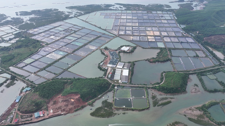 BIM Group khởi công 3 dự án gần 10.500 tỷ đồng tại Quảng Ninh - 4