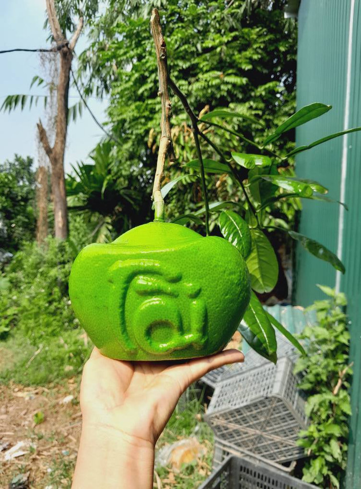 Bưởi tạo hình luôn hút khách dịp Tết. (Ảnh: Facebook)