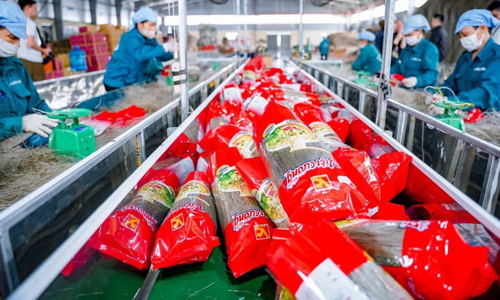 Áp dụng công nghệ mới giúp HTX có sản phẩm đạt chuẩn hữu cơ.