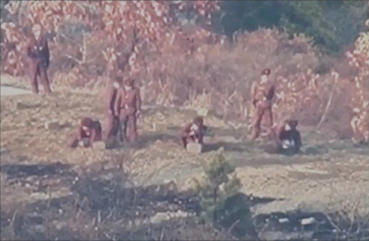 Hình ảnh quân đội Triều Tiên chôn mìn dọc tuyến ranh giới quân sự Liên Triều (Nguồn: The Dong-A Ilbo)