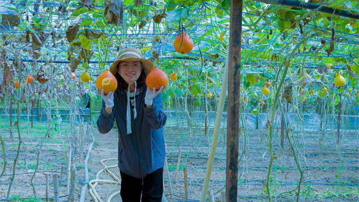 HTX được xác định là một trong những lực đẩy quan trọng trong tái cơ cấu ngành nông nghiệp và phát triển nông thôn.