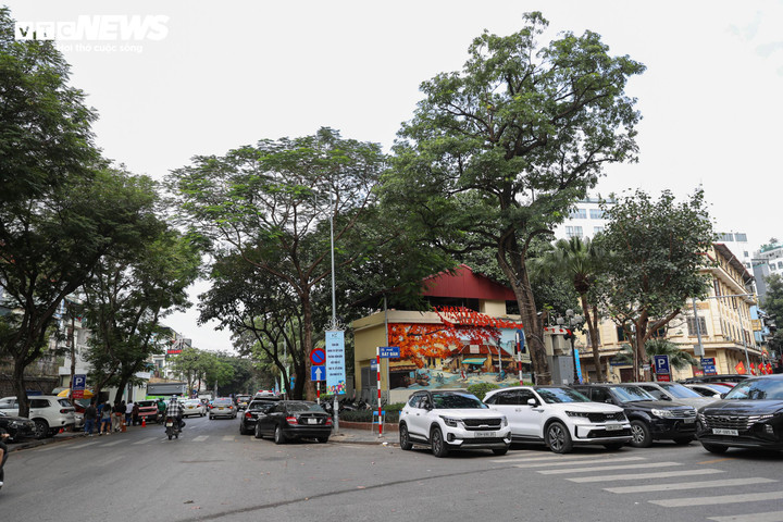 Khu vực này gồm vườn hoa hiện trạng và các tuyến đường lân cận, nằm tại vị trí giao thoa của nhiều tuyến phố như Phùng Hưng, Đường Thành, Bát Đàn và Nhà Hỏa.