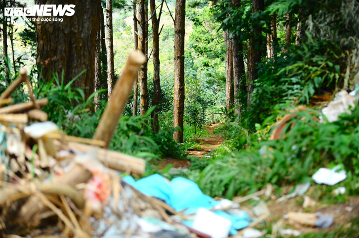 Rác thải vùi lấp, che khuất các con đường nhỏ dẫn vào vườn của bà con.