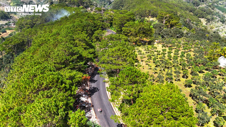 Hơn 1 km đường đèo D'Ran ngập trong rác thải và khói mù mịt.