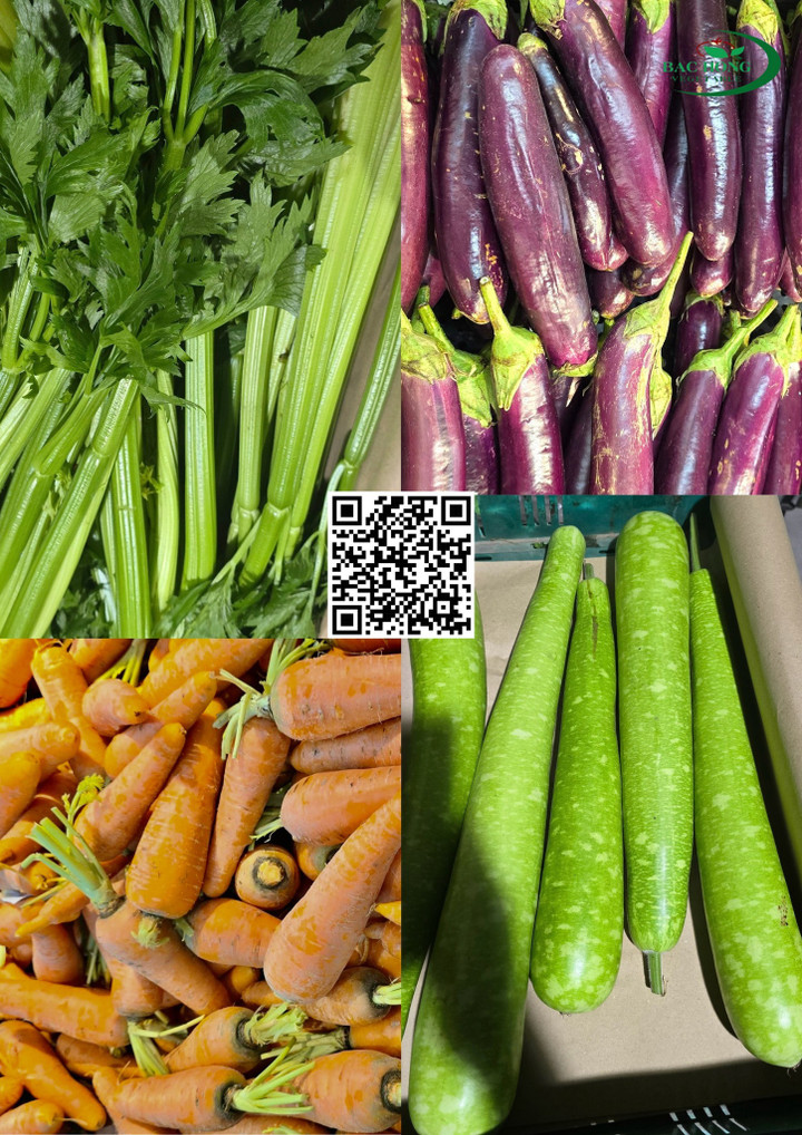 Các hợp tác xã nông nghiệp đang từng bước khẳng định vai trò hạt nhân trong tổ chức sản xuất theo chuỗi giá trị.