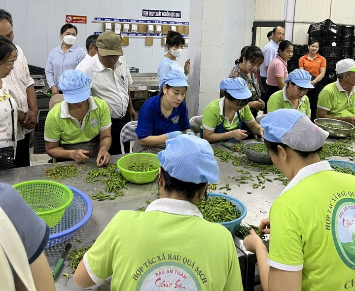 HTX không chỉ tạo sinh kế ổn định cho người nông dân mà còn gợi mở hướng đi bền vững cho kinh tế tập thể trong giai đoạn mới.