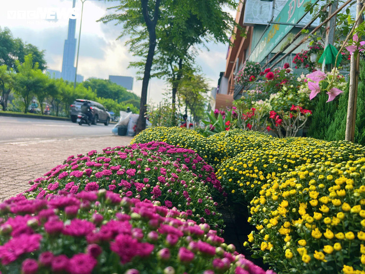 Hoa kiểng Tết 2026 bắt đầu xuất hiện trên các tuyến đường TP.HCM từ dịp Noel, song sức mua vẫn khá trầm lắng. (Ảnh: Nguyễn Liến)