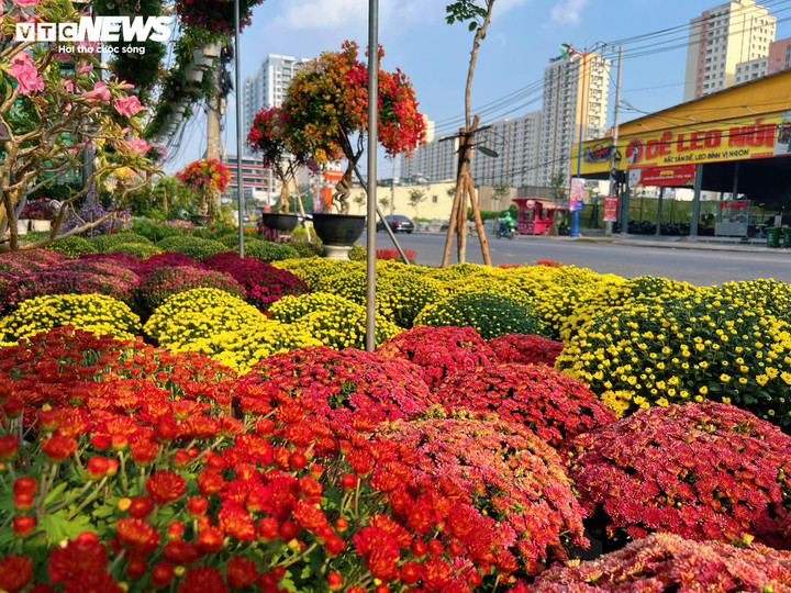 Hoa kiểng Tết được bày bán sớm tại TP.HCM vẫn duy trì giá bán so với mọi năm. (Ảnh: Nguyễn Liến)