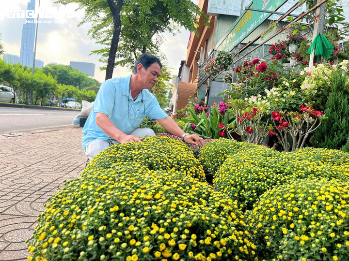 Các chủ vựa hoa kiểng tại TP.HCM đã bắt đầu nhập hàng Tết. (Ảnh: Nguyễn Liến)