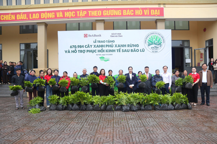 SeABank trồng gần 671 nghìn cây xanh tại Hà Tĩnh, vượt mục tiêu 1 triệu cây xanh - 3