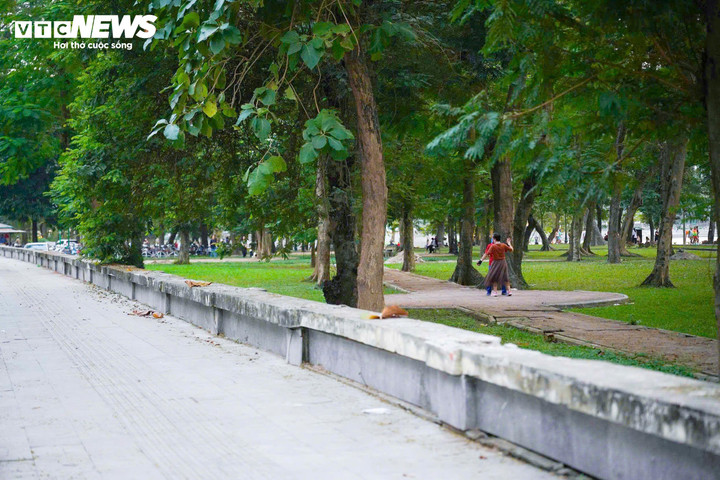 Công viên từng bị quây kín bằng hàng rào sắt nay được mở rộng không gian xanh, kết nối trực tiếp với phố phường, vỉa hè và các tuyến đi bộ, mang lại sự thông thoáng và thuận tiện hơn cho người dân.