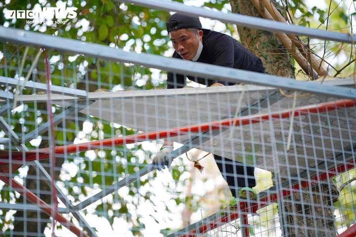 Cảnh mới lạ tại Công viên Thống Nhất sau khi hạ toàn bộ hơn 2km hàng rào - 10