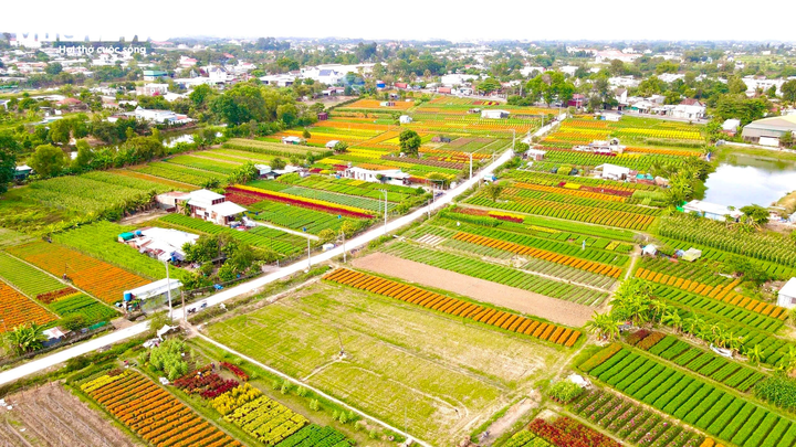 Theo bảng giá đất năm 2026, TP.HCM chia 4 khu vực để áp dụng giá đất nông nghiệp