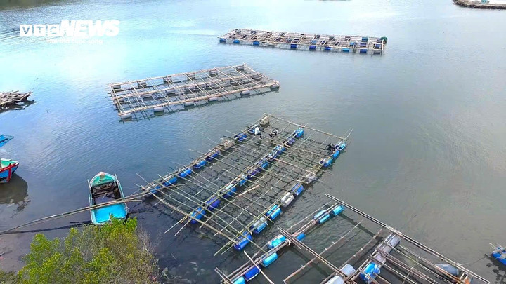 Ông Đào Quang Minh, Chi cục trưởng Chi cục Thủy sản và Biển đảo tỉnh Đắk Lắk, cho biết các địa phương đang khẩn trương thống kê thiệt hại để làm cơ sở hỗ trợ theo Nghị định 9/2025/NĐ-CP của Chính phủ. Đồng thời, ngành chức năng cũng hướng dẫn người dân các biện pháp khôi phục sản xuất và kêu gọi doanh nghiệp, nhà hảo tâm hỗ trợ con giống, vật liệu lồng bè, giúp người nuôi sớm ổn định cuộc sống sau thiên tai.