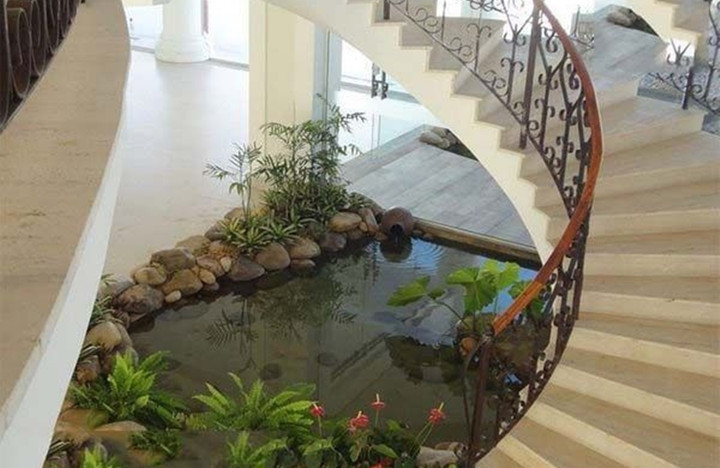 Hồ cá Koi trong phòng khách ngày càng được ưa chuộng. (Ảnh: SiuthicakoiVN)