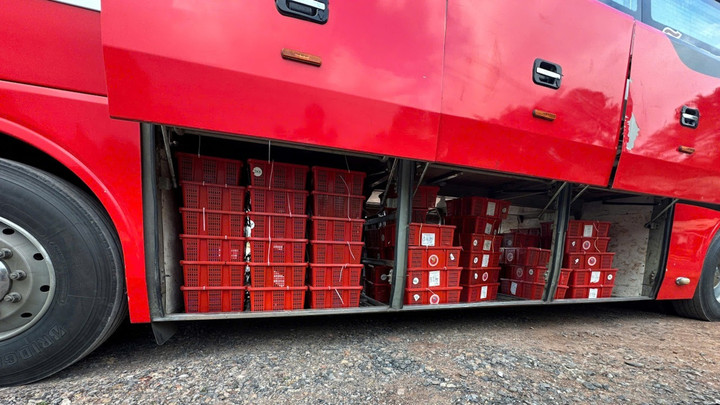 Gần 1000kg Rắn hổ mang vận chuyển từ Lào về Việt Nam theo đường tiểu ngạch được phát hiện trong khoang xe khách. (Ảnh: T.Khôi)